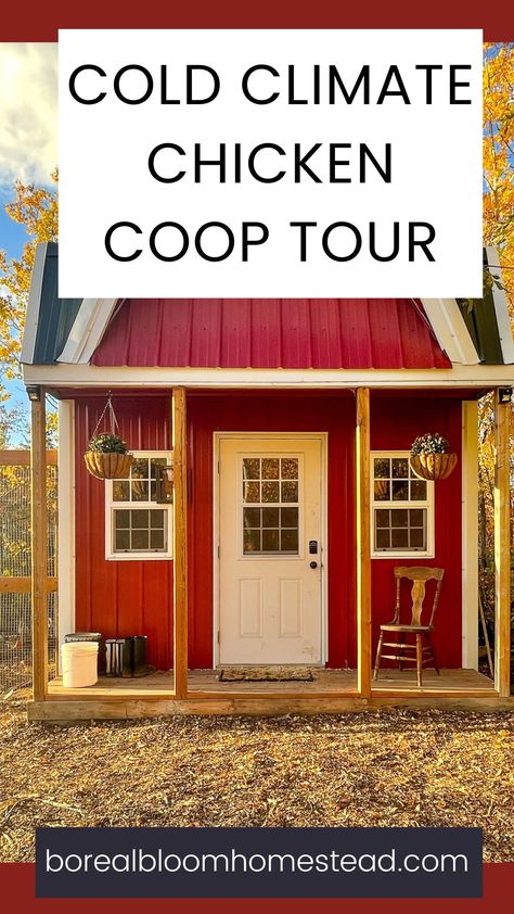 red barn style chicken coop. Inside Hen House Ideas, Cute Chicken Coop Ideas Inside, Canadian Chicken Coop, Galvanized Chicken Coop, Chicken Coop Winter Ideas, Chicken Coop Cold Climate, Luxury Chicken Coop Interior, Chicken Coop Heater Ideas, Heated Chicken Coop