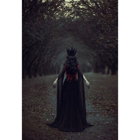 Dark Queen Aesthetic, Lup Singuratic, Dark Royalty Aesthetic, Fantasy Queen, Medieval Aesthetic, Dark Princess, Desen Realist, Dark Fairytale, Halloween Photography