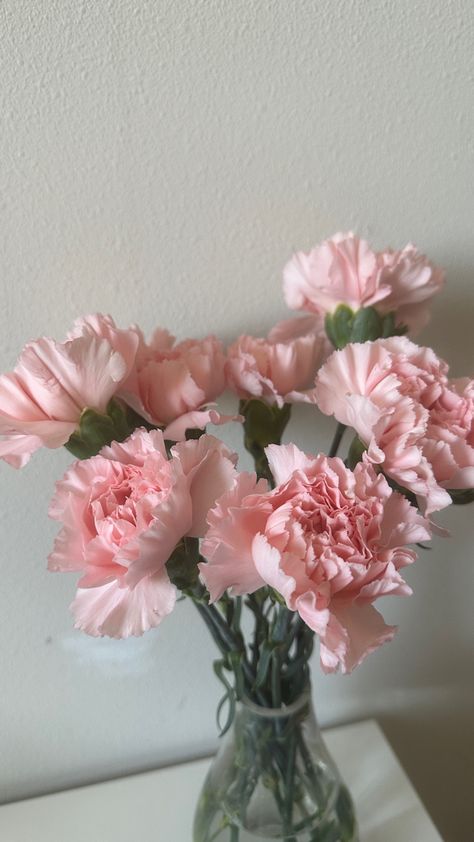 Light Pink Carnations, Pink Lover Aesthetic, Pink Carnation Aesthetic, Carnation Flower Wallpaper, Carnation Flower Aesthetic, Carnations Aesthetic, Christmas Crafts Adults, Carnations Wallpaper, Carnation Aesthetic