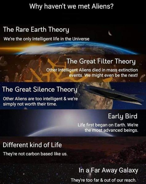 The 3 theories I believe in are: they are too intelligent, they are are a different life form than us, and that they are too far away. Kuantan, Astronomy Facts, Space Facts, Cool Science Facts, E Mc2, Quantum Physics, Science Facts, Space Time, Stephen Hawking