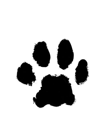 Dog Bite Tattoo, Wolf Paw Print, Jersey Ideas, Wolf Paw, Dog Paw Tattoo, Tattoo Wrist, Tatoo Designs, Paw Tattoo, Cat Paw Print