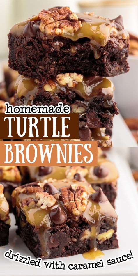 Turtle Brownies Caramel Brownies Recipe, Chocolate Cheesecake Bites, Turtle Brownies, Ultimate Brownies, Salted Caramel Cupcakes, Turtle Cheesecake, Gooey Brownies, Brownies Recipe Homemade, Gooey Caramel