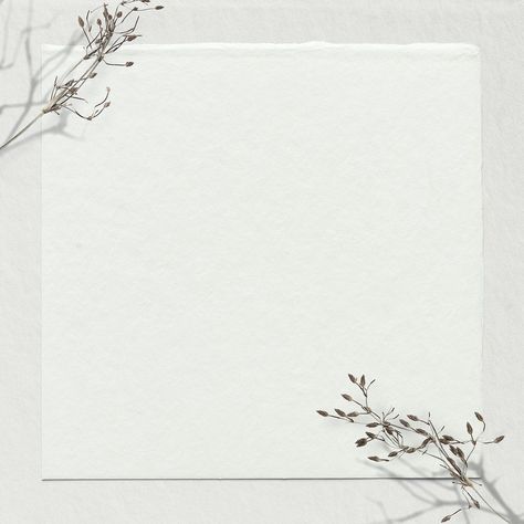 Off white background psd dry branch border | free image by rawpixel.com / nunny Clothes Background Design Aesthetic, Background Images Frames, White Wallpaper With Border, Clothing Background Design, Border Background Frames, White Background With Border, Dried Flower Background, Winter Picture Frame, White Background With Design