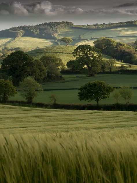 Belle Nature, Green Field, Cloudy Sky, Alam Yang Indah, Alam Semula Jadi, Rolling Hills, English Countryside, Nature Aesthetic, Pretty Places