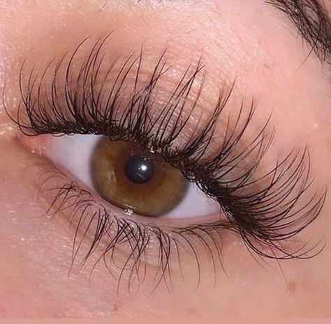 Natural Long Eyelashes, Big Eyelashes, Natural Long Lashes, Big Lashes, Perfect Eyelashes, Grande Cosmetics, Vision Board Goals, Eyelash Serum, Lash Serum