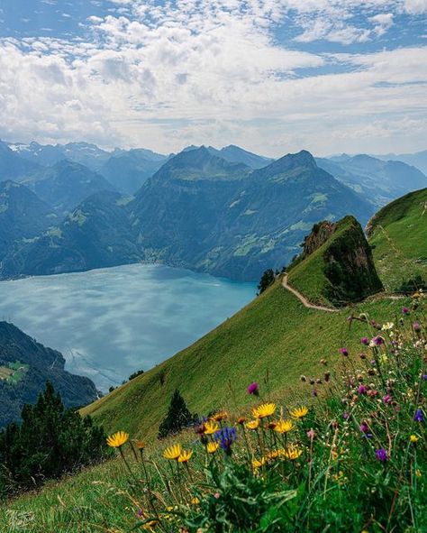 Nature, Switzerland Hiking, Switzerland Mountains, Lake Lucerne, Switzerland Vacation, Switzerland Cities, Spring Pictures, Beautiful Hikes, Mountain Travel