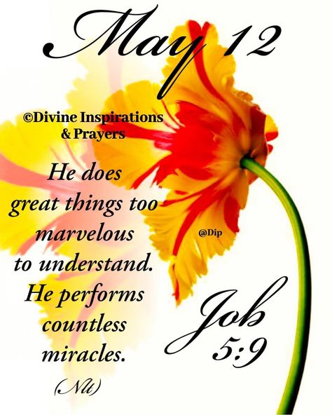 May 12 Blessings, May 11 Quotes, May 1 Quotes, Divine Inspiration And Prayers, Daily Bible Devotions, May Quotes, Monthly Quotes, Good Morning Happy Sunday, Everyday Prayers