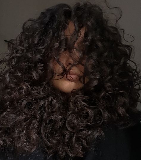 Balayage, Healthy Thick Curly Hair, Messy Curls Aesthetic, Thick Black Curly Hair, Curly Hair Back View Aesthetic, Noodle Curls Hair, Curly Hair Goals Aesthetic, Healthy Curls Aesthetic, Volumous Curly Hair