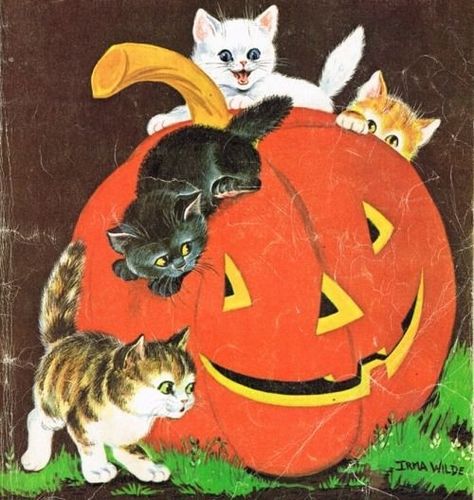 Tumblr, Vintage Halloween Cards, Vintage Halloween Art, Vintage Halloween Images, Days Until Halloween, Halloween Queen, Halloween Scene, Halloween Illustration, Halloween Inspo