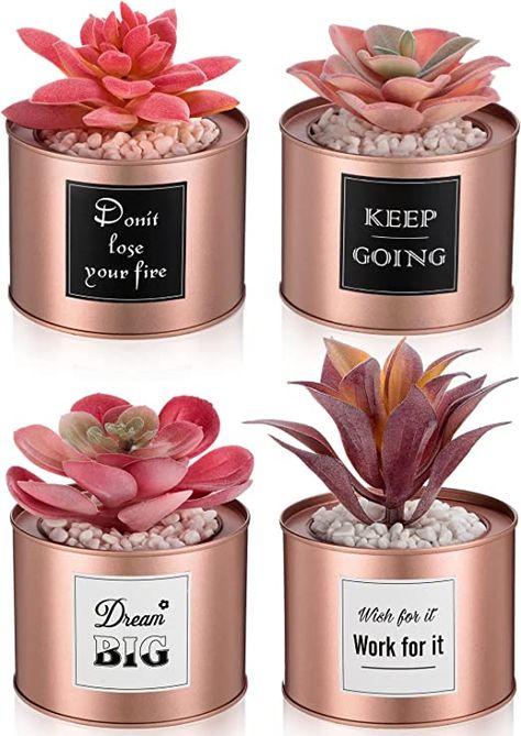 MTLEE 4 Pieces Rose Gold Succulent Plants Pink Succulent Plants Office Decor for Women Desk Succulent Plants Artificial Cactus Succulent Plants in Pots for Bedroom Bookshelf Office Home Decor Brand: MTLEE Plants Office Decor, Pink Bedroom Accessories, Rose Gold Office Decor, Plant Office Decor, Bedroom Bookshelf, Women Desk, Office Plants Desk, Blush Pink Bedroom, Rose Gold Office