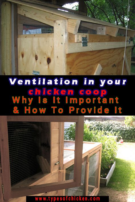 Ventilation In Your Chicken Coop - Why Is It Important & How To Provide It? Ventilation is important both for the summer and the winter for your chickens. Ventilation For Chicken Coop, Chicken Coop Ventilation Ideas, Chicken Coop Decorating Ideas, Homesteading Checklist, Coop Ventilation, Homestead Tips, Diy Homesteading, Chicken Tips, Homestead Diy