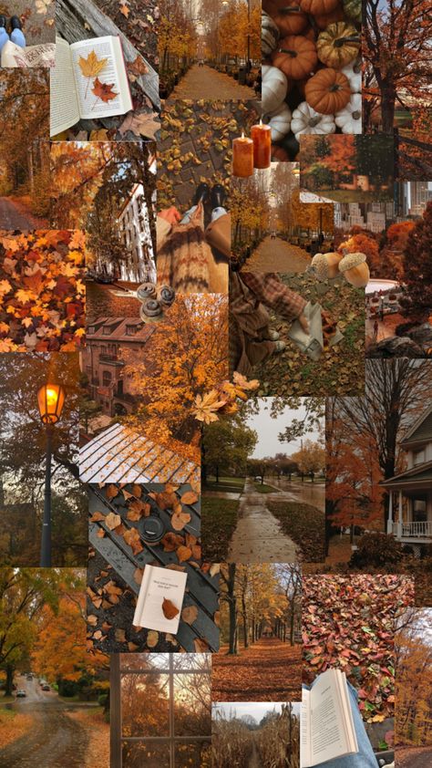 I <3 fall🍁#fallgirlaesthetic #fallaesthetic #fall #vintage #autumn #autumnaesthetic #autumnal #autumnvibes #autumnalvibes #cozy #fallvibes #fallgirl #aesthetic #halloween #september Fall Aesthetic Collage, Thanksgiving Iphone Wallpaper, September Aesthetic, Autumn Phone Wallpaper, September Wallpaper, Cosy Aesthetic, Fall Vintage, Autumn Magic, Vintage Autumn