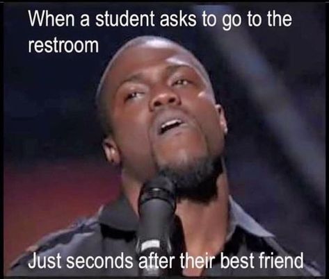 Kevin Hart teacher meme when a student asks to go to the restroom just seconds after their best friend #facultyloungers #teacherproblems #teacherhumor #teachers Teacher Funnies, Teacher Humour, Classroom Humor, Teacher Memes Funny, Teaching Memes, Classroom Memes, Teacher Quotes Funny, Teaching Humor, Teacher Problems