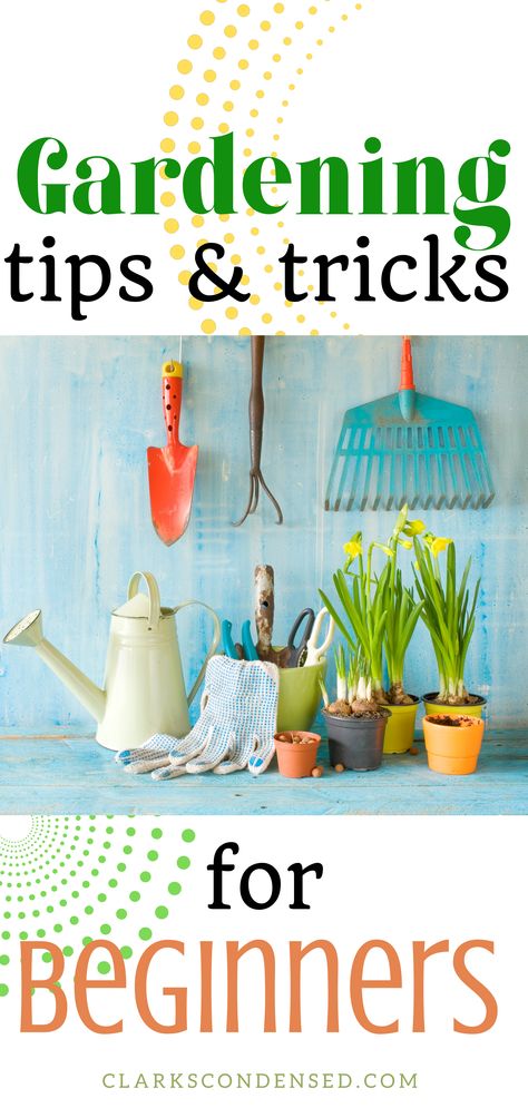 this pin has a picture of white rustic tin can orange garden shovel, blue rake with orange handles, plants on tiny pots and gardening tools on a blue background. the texts say "gardening tips and tricks for beginners" in green, orange and black colored fonts. the pin background is white decorated with dots arranged in two circles (in yellow green and yellow color) . Garden For Dummies, When To Start Seeds Indoors, Seed Starting Indoors, When To Start Seeds, Beautiful Raised Garden Beds, Garden Checklist, Start Seeds Indoors, Gardening For Dummies, Starting Seeds Indoors