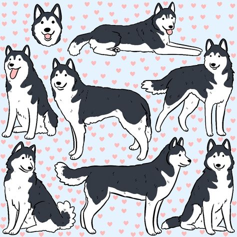 A cute siberian husky dog pattern Husky Illustration Cute, Husky Drawing Cartoon, Chibi Husky, Cute Husky Drawing, Husky Doodle, Husky Sketch, Husky Cartoon, Cartoon Husky, Dog Cute Cartoon