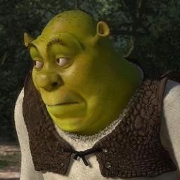 Memes, Shrek Pfp, Shrek, Google Image