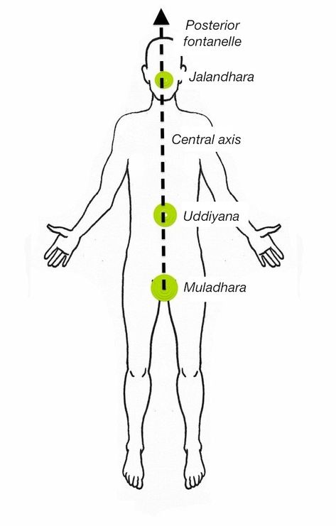 3 Bandhas - 3 perfectly shaped keys in 3 clean locks turning easily with a subtle precise touch when the time is right and natural. Hari om tat sat. Hari Om Tat Sat, Om Tat Sat, Backyard Yoga, Endocrine Hormones, Exocrine Gland, Wahe Guru, Yoga Thoughts, Hari Om, Sanskrit Words