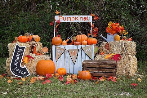 Trunk Or Treat Photo Booth Ideas, Pumpkin Patch Set Up, Trunk Or Treat Pumpkin Patch, Pumpkin Patch Decorating Ideas, Pumpkin Patch Decoration, Fall Town, Festival Backdrop, Snowflake Centerpieces, Autumn Window Display