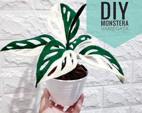 Tela, Plant Plushies, Felt Plants, Monstera Variegata, Making Dough, Wool Flowers, Felt Plushie, Monstera Plants, Felt Flower Tutorial