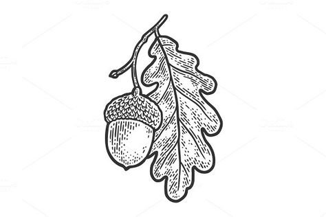 acorn with oak leaf sketch vector by AlexArt on @creativemarket