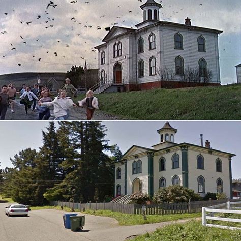 Movie Locations Then and Now |- The schoolhouse from 'The Birds' Los Angeles, The Birds Movie, Alfred Hitchcock The Birds, Iconic Films, Famous Houses, Movie Locations, Film Locations, Marty Mcfly, See Movie