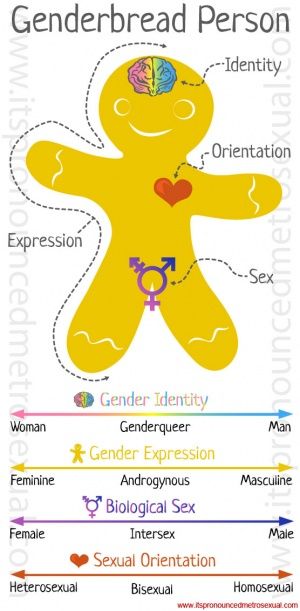 Gender Expression, Brain Heart, Chimamanda Ngozi Adichie, Gender Binary, Human Sexuality, Gender Equality, Lgbt Community, Gender Identity, Help People