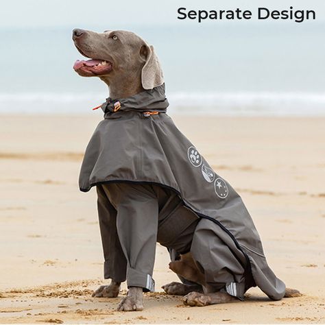 FunnyFuzzy Outdoor Waterproof four-legged Dog Raincoat with Reflective Pattern Hoodie Equip your dog with the ultimate protection against the elements. Our Outdoor Waterproof Four-Legged Dog Raincoat is perfect for rainy day adventures, ensuring your pet stays dry, warm, and comfortable. Body Sheet, Waterproof Poncho, Dog Travel Bag, Dog Muzzle, Dog Raincoat, Modern Pet, Design Cover, Dog Activities, Dog Jacket