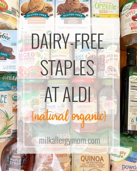 The Best 20 Dairy-Free Foods at Aldi | Natural, Organic, Non-GMO Eating Out Gluten Free Dairy Free, Dairy Free Keto Food List, Amigurumi Patterns, Best Dairy Free Snacks, Dairy Free Dinner Ideas Easy, Dairy And Soy Free Snacks, How To Go Dairy Free, Alphagal Allergy Recipes, Dairy Free Aldi