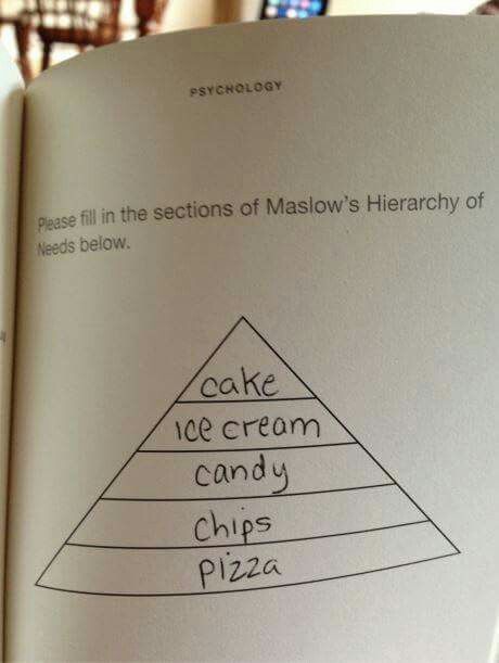 Humour, Psych Memes, Ap Psych, Psychology Memes, Therapist Humor, Hierarchy Of Needs, Therapy Humor, Maslow's Hierarchy Of Needs, Psychology Humor