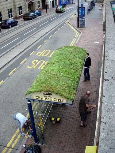 Worth the wait? Bus stops of the world Bus Stop Design, Grass Roof, Urban Design Architecture, Bus Stops, Beer Cans, Worth The Wait, Bus Stop, World Art, City Hall