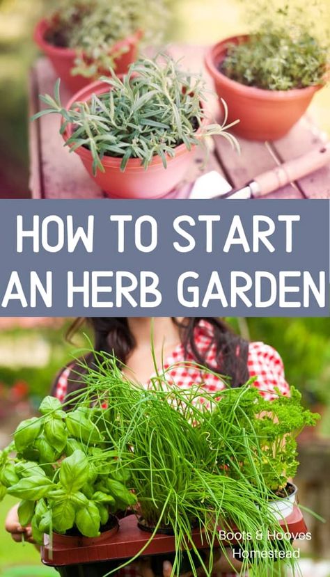 Herb Garden Design, Herb Garden For Beginners, Herbs In Pots, Tattoo Food, Kebun Herbal, Garden For Beginners, Outdoor Herb Garden, Diy Herb Garden, Herb Gardening