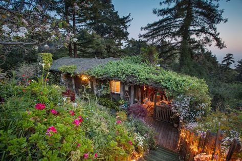 A Historic, Rustic Log Cabin in Big Sur, California, Is Asking $2.8M - Mansion Global Outdoor Bed Swing, Rustic Log Cabin, Log Siding, Cabins For Sale, Highway 1, Big Sur California, Secluded Beach, Outdoor Swing, Hot Tub Outdoor