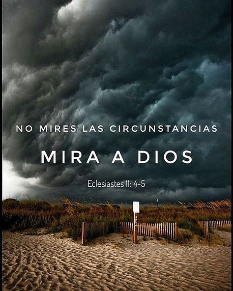 Imágenes Con Frases De Fe Y Esperanza En Dios Para Recibir Fortaleza En 60B Bible Quotes, Bible Verses, Namaste, Jesus Is Lord, Verse Quotes, Bible Verses Quotes, Verses, Bible, Jesus