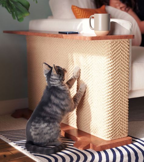 Cat Room Interior Design, Cat Scratcher For Couch, Cat Sofa Protector, Minimalist Cat Scratcher, Cat Scratching Post Living Room, Protect Sofa From Cat, Wall Cat Furniture, Cat Aesthetic Furniture, Cat Bed Next To Human Bed