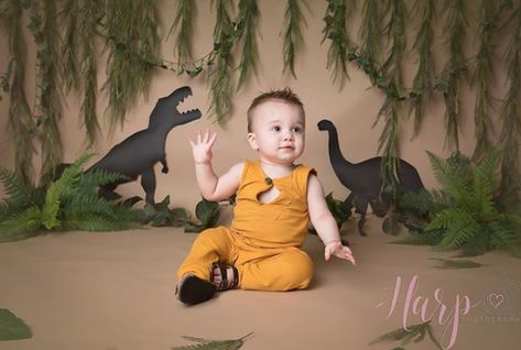 Will hopefully get some hanging plants and silhouetted dinosaur shapes Dinosaur Shapes, First Birthday Photoshoot, Jungle Theme Birthday Party, Theme First Birthday, Baby Photography Backdrop, Toddler Photoshoot, Dinosaur Birthday Cakes, Dinosaur Photo, Safari Theme Birthday