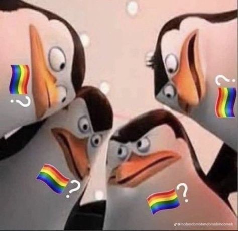 Alcohol Reaction Pic, Pinguin Meme, Madagascar Meme, Penguin Meme, Gay Sticker, Penguins Of Madagascar, Gay Flag, Gay Memes, Silly Images