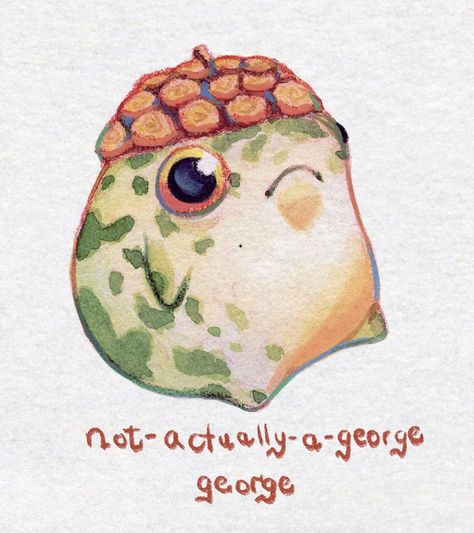 Kawaii, Acorn Drawing, Frog Pictures, Amazing Spiderman Movie, Frog Drawing, Cute Funny Pics, Cute Cottage, Pottery Painting Designs, Cute Fantasy Creatures