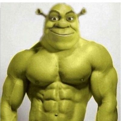 Buff Shrek, Babe Memes, Wierd Pictures, Shrek Funny, Shrek Memes, Бмв X3, Spongebob Cartoon, Crazy Best Friends, Jokes Pics