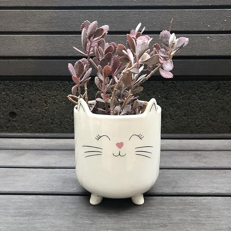 Amazon.com : SparkDazzle Cat Planter Pot | Succulent Planter | Animal Planter | White 5" inch Planter | Cat Planter for Succulents & Plants | Cat Gift | Cat Vase | : Patio, Lawn & Garden Ivy Plant Indoor, Animal Pottery, Novelty Planters, Fun Planters, Cat Planter, Cat Plants, House Plant Pots, Planter Gift, Animal Planters