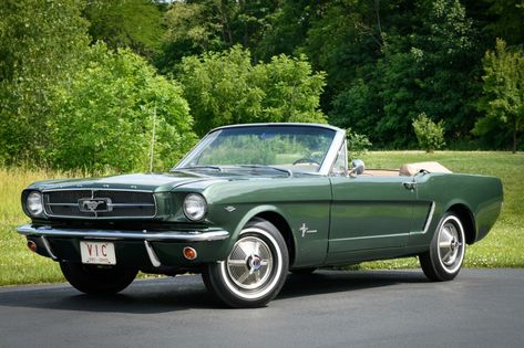 For Sale: 1965 Ford Mustang Convertible (Ivy Green, 289ci V8, 3-speed) 1966 Convertible Mustang, Classic Mustang Convertible, 1960 Mustang Convertible, 1950s Mustang, 1960 Ford Mustang, Green Ford Mustang, 1960 Mustang, Vintage Green Car, 90s Mustang