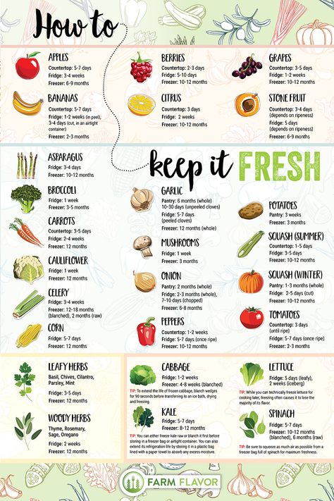 Food Shelf Life, Food Shelf, Fruit And Vegetable Storage, Vegetable Storage, Food Info, Cooking Basics, Reduce Food Waste, Food Facts, What To Eat