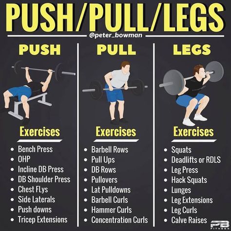 Push Pull Legs Workout, Weight Training Schedule, Push Pull Workout, Push Pull Legs, Muscle Abdominal, Workout Splits, Fitness Routines, Planet Fitness, Popular Workouts