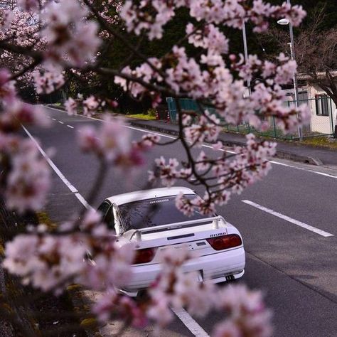 #phonk #drift #japan #aesthetic #sakura #car #jdm #nissan #mitsubishi #nismo Car Pfp Aesthetic, Phonk Drift, Jdm Vibes, Car Pfp, Modified Bikes, Luxury Bmw, Bmw M4 Competition, Nissan Skyline Gtr R32, M4 Competition