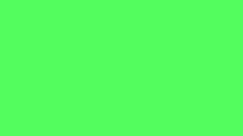 Light Bright Green Solid Color Background Image | Free Image Generator Green Solid Color Background, Neon Green Background, Green Solid Color, Image Background, Color Image, Image Generator, Color Background, Free Image, Solid Color