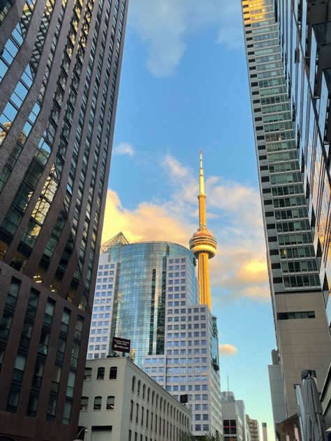 Toronto Couple Aesthetic, Toronto Astethic, Canada Core Aesthetic, Toronto Aesthetic Summer, Toronto Girl Aesthetic, Toronto Summer Aesthetic, Canada Toronto Aesthetic, Immigration Aesthetic, University Of Toronto Aesthetic