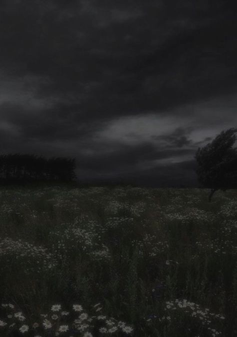 C Dream Aesthetic, Gloomy Nature Aesthetic, Gloomy Wallpaper Aesthetic, Dark Dream Aesthetic, Dark Landscape Aesthetic, Dullcore Aesthetics, Dark Earthy Aesthetic, Quiet Wallpaper, Subliminal Aesthetic