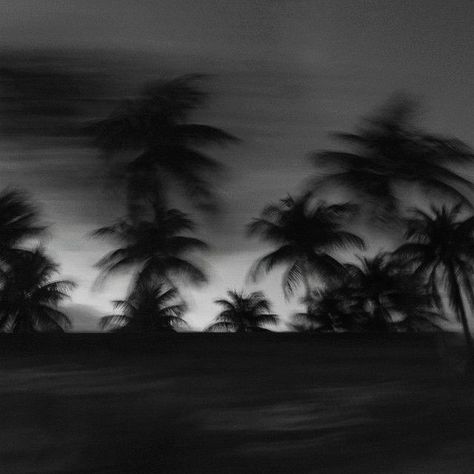 Nature, Dark Australia Aesthetic, Dark Nautical Aesthetic Wallpaper, Tropical Dark Aesthetic, Dark Palm Tree Aesthetic, Summer Gothic Aesthetic, Island Dark Aesthetic, Dark Hawaiian Aesthetic, Deserted Island Aesthetic Dark