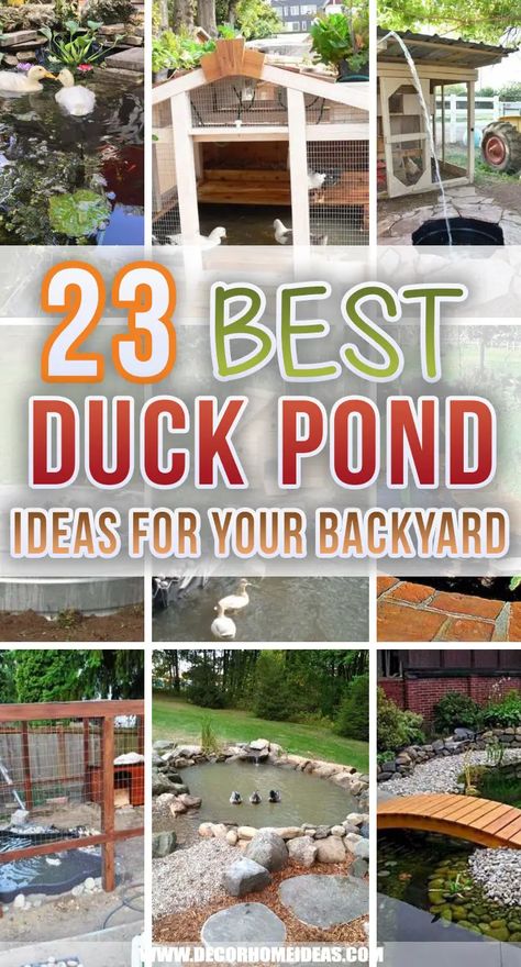 23 Best Backyard Duck Pond Ideas and Designs Small Backyard Duck Ponds, Backyard Duck Enclosure, Duck Pond Water For Garden, Duck Pond Drainage, Large Duck Pond, Duck Run Ideas With Pond, Farm Duck Pond, Fenced In Duck Area, How To Keep A Duck Pond Clean