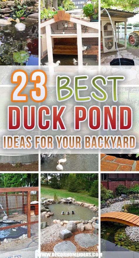 23 Best Backyard Duck Pond Ideas and Designs Small Backyard Duck Ponds, Large Duck Pond, Backyard Duck Enclosure, Raised Duck Pond, Duck Pond Water For Garden, Farm Duck Pond, Garden Duck Pond, Diy Small Duck Pond, Duck Run Ideas With Pond