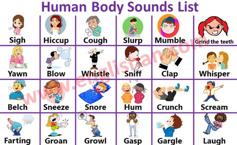 Body Sounds Vocabulary, Classroom Vocabulary, Picture Vocabulary, Letter Writing Samples, Sound Picture, Learning English For Kids, Ielts Writing, English Vocab, Learn English Grammar